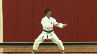 Tekki Nidan  Commentary [upl. by Tihom]