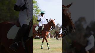 Pink Polo at Nairobi Polo Club creating awareness of breast cancer pinkpolo kenyapolo nairobipolo [upl. by Anaes]