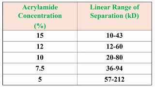 Separation of Proteins in Kilo Dalton KDa in opposite of Acrylamide Concentrations [upl. by Redfield]