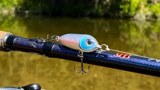 Nano Walking Bait  One Day Build to Catch [upl. by Francklin]