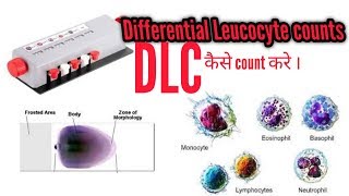 DLC TEST Differential Leukocyte countहिंदी dlc dlctest [upl. by Ateikan]