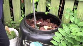 Composting in a backyard bin at City Farmer [upl. by Seta]