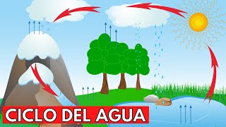 ¿Qué es el CICLO DEL AGUA y cuáles son sus ETAPAS⛰️💧☀️ [upl. by Eehsar]