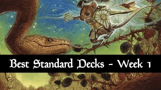 Best Standard Decks  Meta Review  August 2024  Bloomburrow  Week 1  MTG Arena [upl. by Nottap]