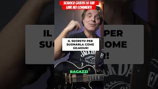 Perché Viene Sempre Suonata MALE chitarra lezionidichitarra tutorialchitarra davidgilmour [upl. by Rickie]