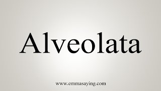 How To Say Alveolata [upl. by Ettenor]