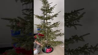 Fresh Christmas Tree 🥰🥰🥰 shorts viral trendinv subscribe christmas happy couple family [upl. by Calen]