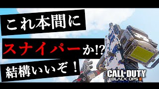 【BO3】これをスナイパーと認めて良いのか？【結構良い】 [upl. by Birkner993]