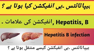 Hepatitis B infection kia hota Hy  Hepatitis B infection ki Aalamaath kia hy  transmission [upl. by Ellerihs127]