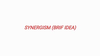 SYNERGISM BRIF IDEA [upl. by Batory516]