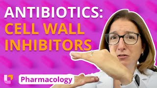 Antibiotics Cell Wall Inhibitors  Pharmacology  Immune System  LevelUpRN [upl. by Glaser]