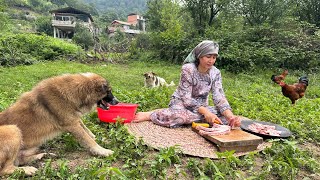 Village Lifestyle In IRAN  Cooking Lamb Meat  Rural Life In Iran [upl. by Stinson]