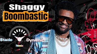 Shaggy  Boombastic Remix [upl. by Maximilien586]