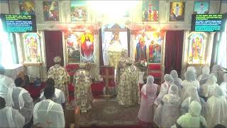 Medhanie Alem Ethiopian Orthodox Tewahedo Church KC Live Stream [upl. by Ahgiela]