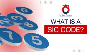 What Is A SIC Code  Standard Industrial Classification Code Explained [upl. by Nailimixam]