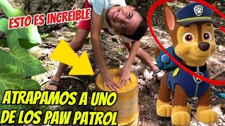 Atrapamos a uno de los Paw Patrol 😰 [upl. by Merwin]