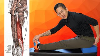 You Need to Do This Stretch TIGHT Lateral Hamstrings  Biceps Femoris [upl. by Loyce]