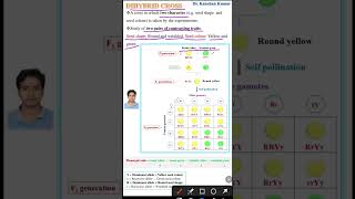 Dihybrid cross  Genetics class 12 [upl. by Tosch705]