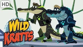 Wild Kratts  Why We Love Nature and Wild Animals [upl. by Cohlier]