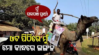 Odisha Panchayat Polls Sarpanch Candidate In Mayurbhanj Campaigns Sitting On Camel [upl. by Tillfourd]