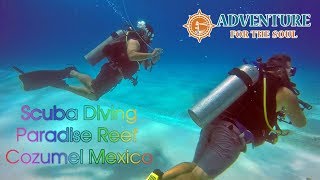 Scuba Diving Paradise Reef in Cozumel Mexico [upl. by Andrel]