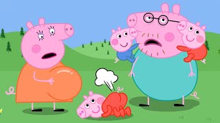 Mummy Pig Have a Baby  Daddy Pigs Nightmare  Peppa Pig Funny Animation [upl. by Nolur234]