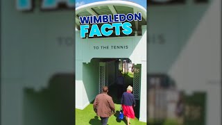 You wont believe how much Pimms is sold at Wimbledon shorts [upl. by Marvella]