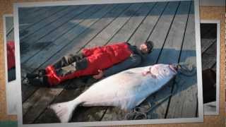 BC Halibut Fishing Trips  Fishing Storie Charters  Kyuquot Sound [upl. by Islek523]