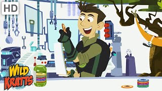 Lets Find an Ocelot  Wild Kratts [upl. by Atte234]