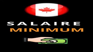 Salaire minimum Canada canadaimmigration [upl. by Innavoig895]