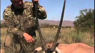 New Mexico trophy OryxBison Hunting [upl. by Oleg]