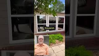 Great Homeowner Window Replacement Deal windowreplacement homerenovation homewindows [upl. by Good976]