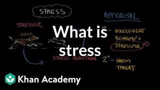 What is stress  Processing the Environment  MCAT  Khan Academy [upl. by Olraced]