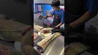 Artificially Breed Crocodiles Crocodile Crocodile Meat Fresh Crocodile Legs [upl. by Catima]