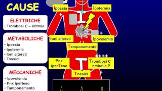 Le 3E dellarresto cardiorespiratorio ECG EGA ECO [upl. by Ibrab]