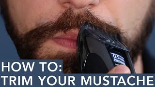 How to Trim Your Mustache [upl. by Petracca615]