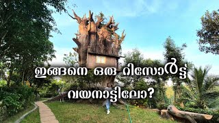 അതും കുറഞ്ഞ ബഡ്ജറ്റിലോ😲 Wayanad Resort budgetresort pool resort travel travelvlog treehouse [upl. by Eibob]