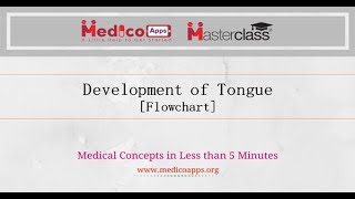 Development of tongue Flowchart [upl. by Drhacir]