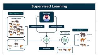 Supervised learningUnsupervisedReinforcement Learning [upl. by Godfree]