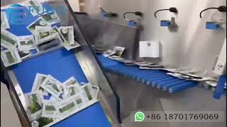 Powder sachets counting system and carton box packing machinery [upl. by Cannice487]