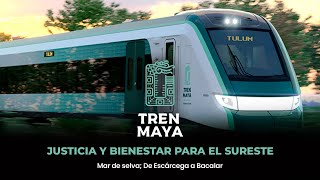 Tren Maya Mar de selva De Escárcega a Bacalar [upl. by Silberman]