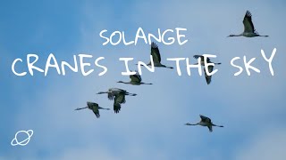 Solange  Cranes In The Sky Lyric Video [upl. by Mayeda]