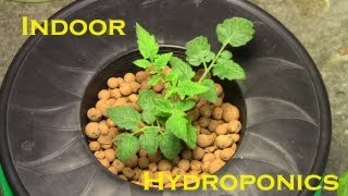 Hydroponic Indoor Winter Garden 20122013 Kick Off [upl. by Chastain]