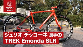 TREK Segafredo ジュリオ チッコーネ選手のTREK Émonda SLR [upl. by Calv]