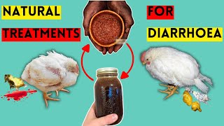 MY 6 BEST NATURAL TREATMENTS FOR DIARRHOEA IN CHICKENS  FOWL POX  DEWORMERS  COCCIDIOSIS [upl. by Nye533]