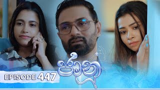 Jaanu  Episode 447  20241111  ITN [upl. by Merc]