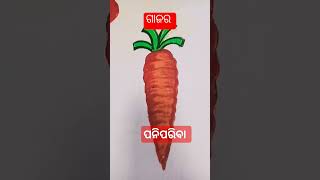 different kinds of vegetables name in odia panipariba nama odia vegitables name in odia [upl. by Eatnad957]