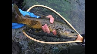 Peche truite Sorgue Juin 2018 avec des poissons de  de 40 cm by ZZF [upl. by Chlori]