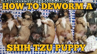 HOW TO DEWORM SHIH TZU PUPPIES  TAMANG PAG DEWORM NG TUTA  VLOG 75 [upl. by Yrruc]