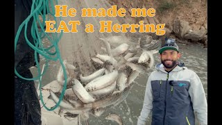 He MADE me eat a Herring  Herring Spawn Collaboration with Fishermans life Part II [upl. by Suoicserp597]